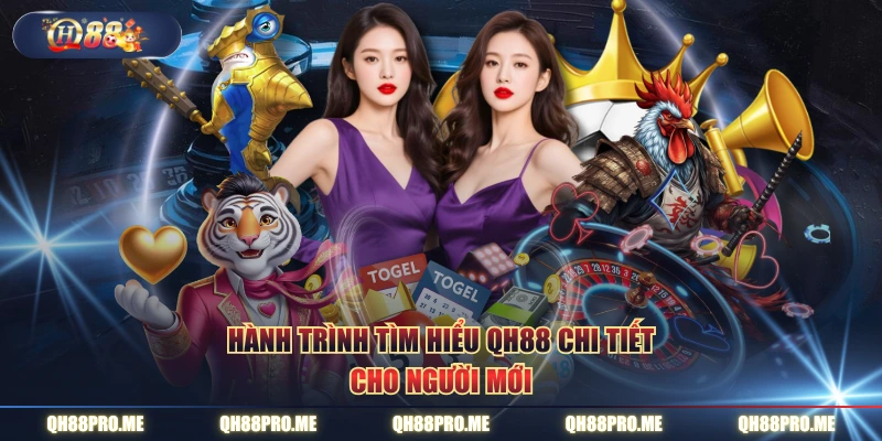 Hành trình tìm hiểu QH88 chi tiết cho người mới