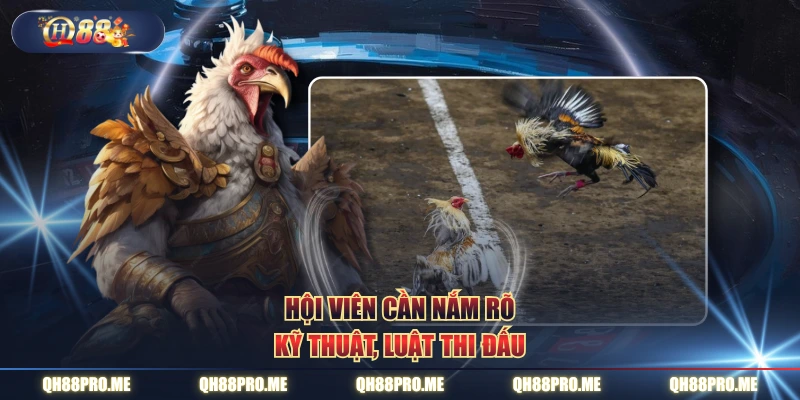 Hội viên cần nắm rõ kỹ thuật, luật thi đấu