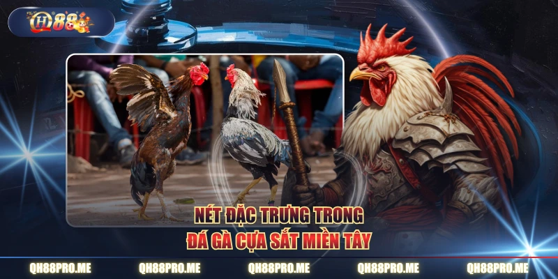 Nét đặc trưng trong đá gà cựa sắt miền Tây