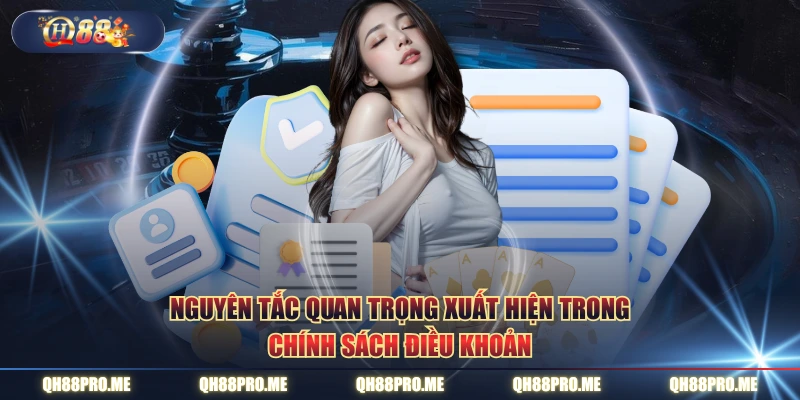Nguyên tắc quan trọng xuất hiện trong chính sách điều khoản