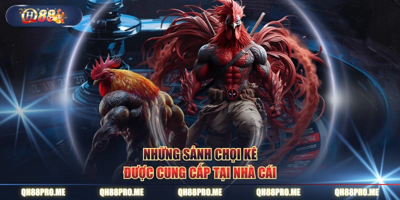 Những sảnh chọi kê được cung cấp tại nhà cái